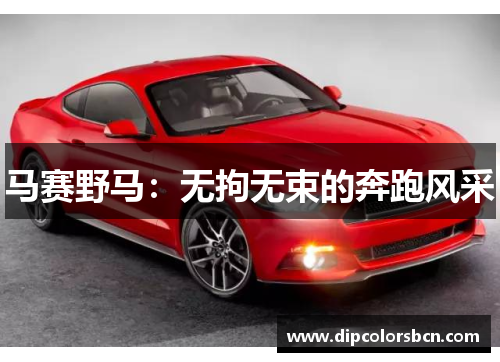 马赛野马：无拘无束的奔跑风采