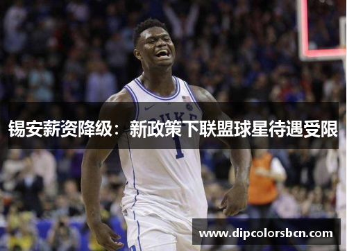 锡安薪资降级：新政策下联盟球星待遇受限